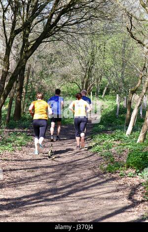 Un gruppo di guide su un ben indossati via attraverso il Surrey Hills su un bel mattino luminoso Foto Stock