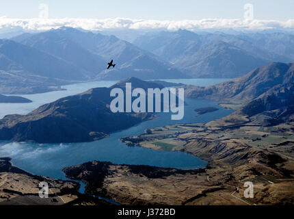 Una molto rara fighterplane sovietica da WW II, Polikarpov I-16 Rata, fare acrobazie oltre le Alpi del Sud in Nuova Zelanda Foto Stock