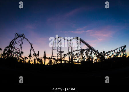 Rollercoaster silhouette durante il tramonto al Six Flags Magic Mountain Foto Stock