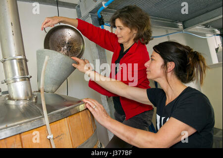 Birreria waen, llanidloes, il Galles centrale,uk dove il proprietario di sue hayward (w t shirt con legati i capelli) tiene un seminario per le donne di altri produttori di birra. Foto Stock