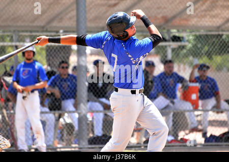 Il Mulos e i Cubs, team messicano con League Baseball, giocare una partita di campionato a Mission Manor Park, Tucson, Arizona, Stati Uniti. Foto Stock