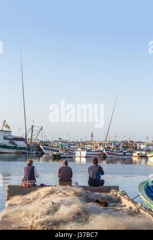 Houmt Souk, Marina, Tunisia, barche da pesca, isola di Djerba e un gatto Foto Stock