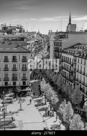 Ciliegi fioriti da Plaza de Isabel II lungo Calle Arenal (Calle del Arenal) alla piazza Puerta del Sol e la torre dell orologio, Madrid Spagna Foto Stock