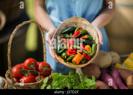 La sezione centrale della donna che mantiene i peperoni nel cesto di vimini a livello di azienda Foto Stock