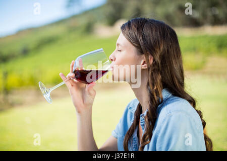 Vista laterale della donna di bere vino rosso a vigneto Foto Stock