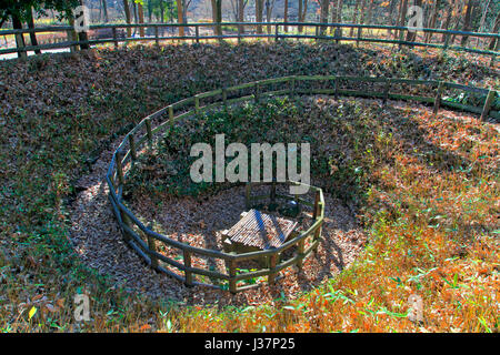 Maimaizu bene a Open-Air Folk Museum In Fuchu Tokyo Giappone Foto Stock