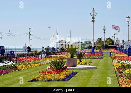 Bella tulipani e fiori di primavera sul display alond Eastbourne seafront East Sussex Regno Unito Foto Stock