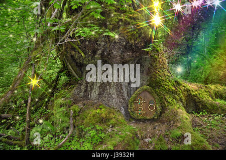 Antico albero nella foresta con le luci fairy, porta e rainbow Foto Stock