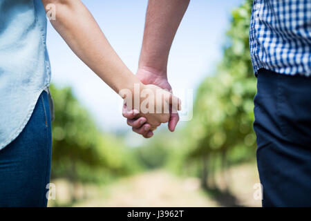 La sezione centrale del giovane holding hands in vigna contro il cielo blu Foto Stock