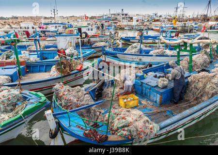 Houmt Souk, Marina, Tunisia, barche da pesca, isola di Djerba e un gatto Foto Stock