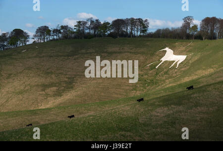 White Horse Hill figura a Cherhill Wiltshire Foto Stock