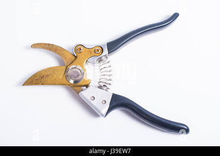 Usato rusty forbici su sfondo bianco Foto Stock
