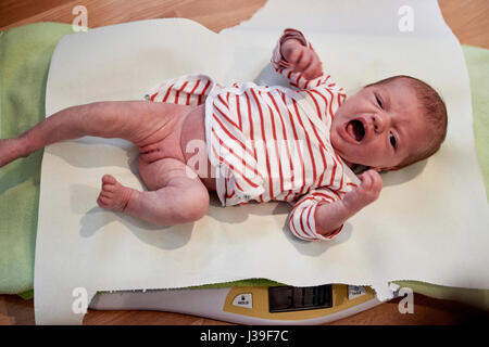 Consultazione del bambino Foto Stock