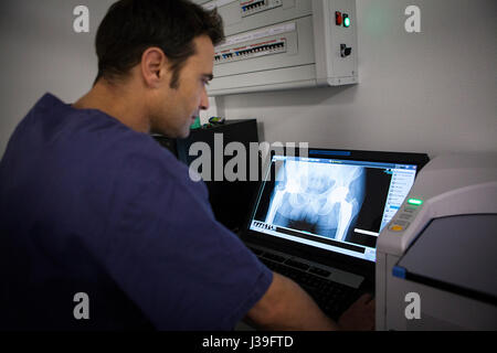 MEDICO DI MONTAGNA Foto Stock