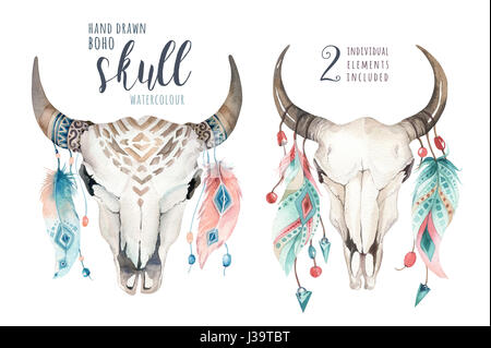 Acquerello bohemien teschio di mucca e piuma. Western mammiferi. Boho hipster deer boho decorazione corna di stampa. Foto Stock