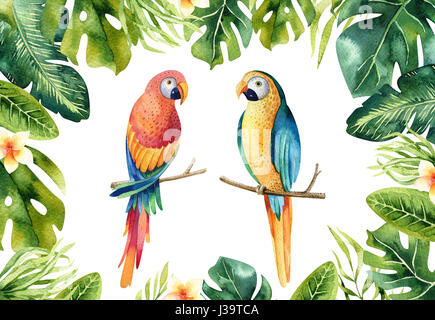 Disegnata a mano acquerelli di piante tropicali e parrot. Exotic pa Foto Stock