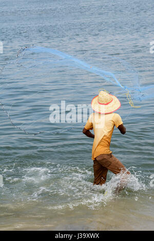 Un pescatore getta la sua rete in mare a Fort Kochi (Cochin), Kerala, India del Sud, Sud Asia Foto Stock