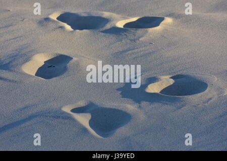 I marchi di forma irregolare nella bella spiaggia di sabbia in tarda serata luce. Foto Stock