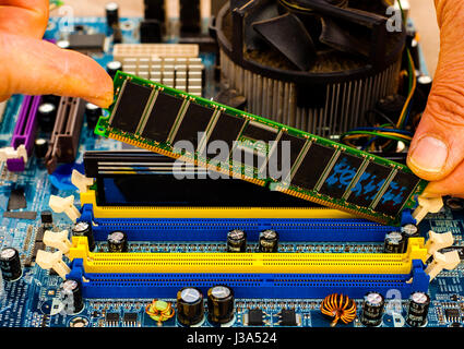 Mettere il computer memoria DDR RAM nello slot della scheda madre Foto Stock