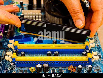 Mettere il computer memoria DDR RAM nello slot della scheda madre Foto Stock