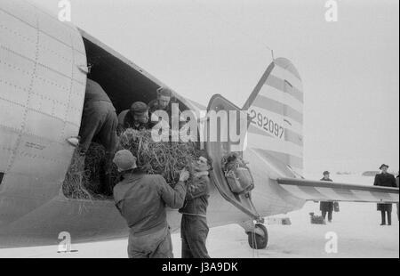 '''Hay airlift'' per in pericolo gli animali selvatici nelle montagne bavaresi, 1952' Foto Stock