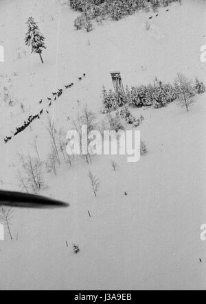 '''Hay airlift'' per in pericolo gli animali selvatici nelle montagne bavaresi, 1952' Foto Stock