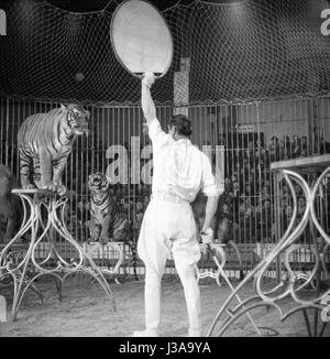 Circus programma con i predatori, 1954 Foto Stock