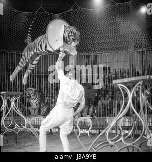 Circus programma con i predatori, 1954 Foto Stock