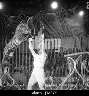 Circus programma con i predatori, 1954 Foto Stock