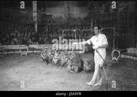 Circus programma con i predatori, 1954 Foto Stock