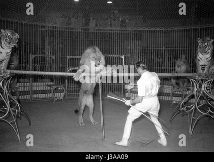 Circus programma con i predatori, 1954 Foto Stock