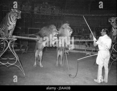 Circus programma con i predatori, 1954 Foto Stock