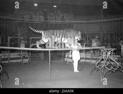 Circus programma con i predatori, 1954 Foto Stock