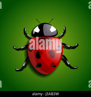 Un realistico ladybug isolata su uno sfondo verde Foto Stock