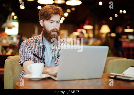 Barbuto Manager si concentra sul lavoro Foto Stock