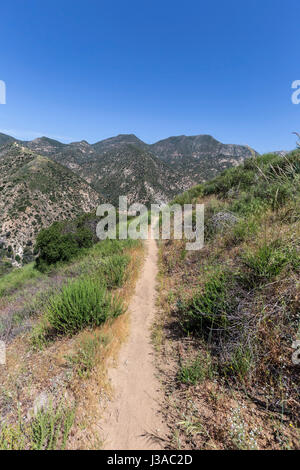 Il sentiero che conduce verso Arroyo Seco e recare Canyon nelle montagne di San Gabriel della Contea di Los Angeles, California. Foto Stock