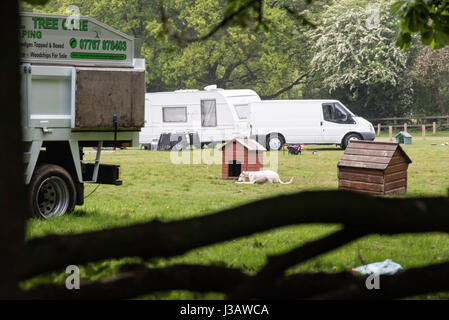 Brentwood, Essex, 4 maggio 2017, un folto gruppo di viaggiatori che hanno invaso il sud del Weald Park in Brentwood, Essex Credit: Ian Davidson/Alamy Live News Foto Stock