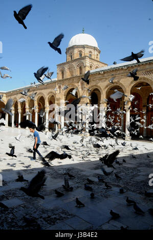 A Tunisi. Il 4 maggio, 2017. Foto scattata il 4 Maggio 2017 mostra la Moschea Zitouna, il più famoso sito storico nella Medina di Tunisi, capitale della Tunisia. La medina di Tunisi, situato nella capitale della Tunisia, è stato elencato il sito del Patrimonio Mondiale delle Nazioni Unite per l'Educazione, la scienza e la Cultura (UNESCO) nel 1979. Credito: Adele Ezzine/Xinhua/Alamy Live News Foto Stock