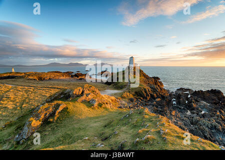 Il faro sulla bellissima isola Llanddyn in Anglesy costa del Galles Foto Stock