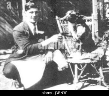 Bluey è un cane australiano Blue Heeler noto per la sua intelligenza, energia e abilità di mandria. Una razza molto amata, è spesso descritta in storie e spettacoli che mettono in evidenza le capacità lavorative, la lealtà e l'agilità del cane. Foto Stock