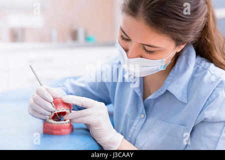 Ortodontista donna che lavorano su strumento modello di denti con metallo cablata bretelle dentali. Foto Stock