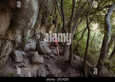 Vista posteriore della femmina di escursionisti a piedi nella foresta Foto Stock