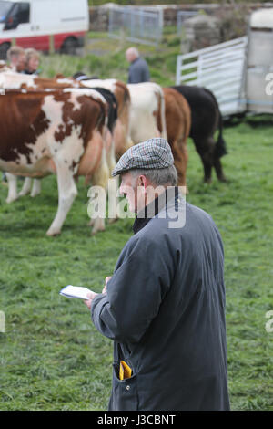 Annuale mostra agricola del villaggio scozzese a Ochiltree, Ayrshire. Agricoltore a giudicare la concorrenza Foto Stock