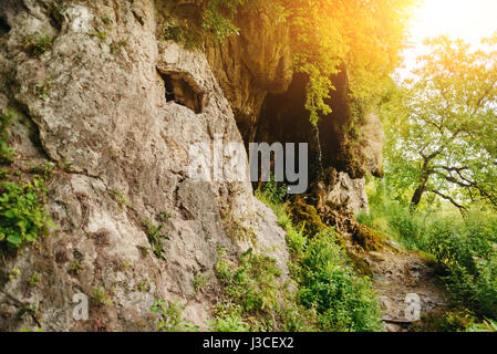 Bellissimo paesaggio con piccole cascate in una fitta foresta. Foto Stock