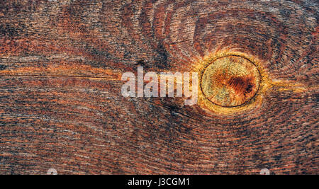 Abstract orizzontale marrone scuro dello sfondo con la texture di legno e grande nodo Foto Stock