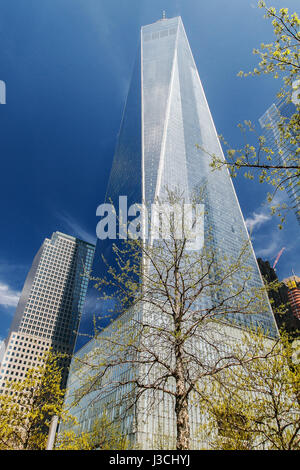 Vista di One World Trade Center altrimenti noto come Torre di libertà. Foto Stock