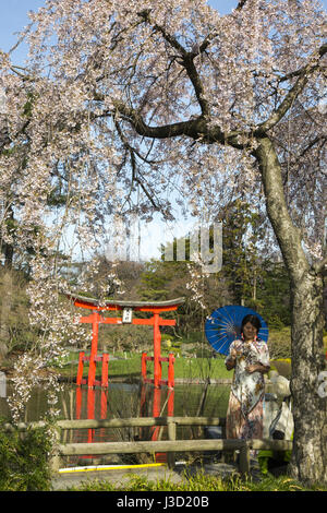 Heavan's Gate durante la fioritura dei ciliegi nel tempo il giardino giapponese al Brooklyn Botanic Garden. Foto Stock
