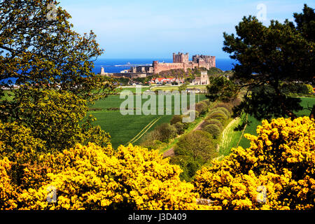 Una fotografia del castello di Bamburgh in Northumberland prese durante la primavera da ovest di Bamburgh. Foto Stock
