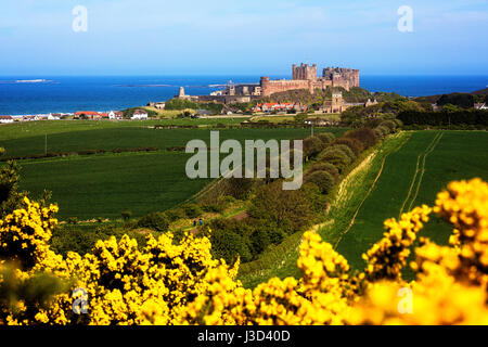 Una fotografia del castello di Bamburgh in Northumberland prese durante la primavera da ovest di Bamburgh. Foto Stock