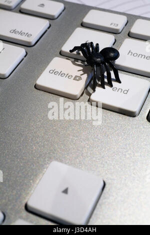 Bug nero del computer sui tasti della tastiera. Foto Stock